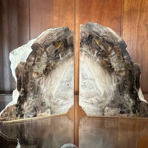POLISHED PETRIFIED WOOD BOOKENDS
